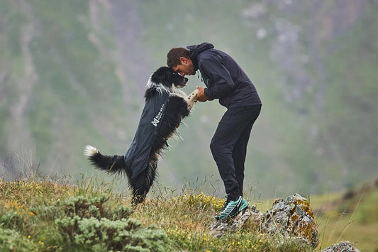 犬は最高のトレーニング仲間だ!