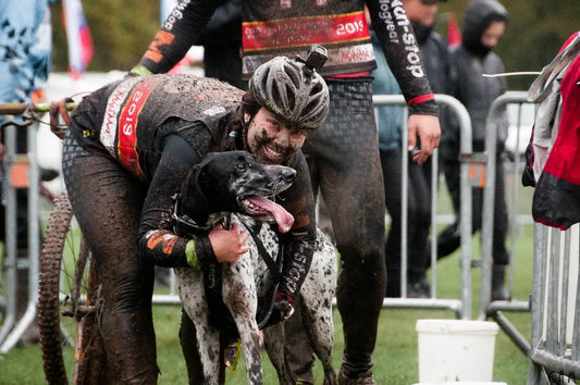 愛犬を夏休みからレースへとスムーズに移行させる方法