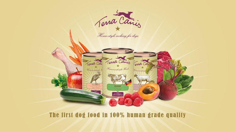 DOG FOOD