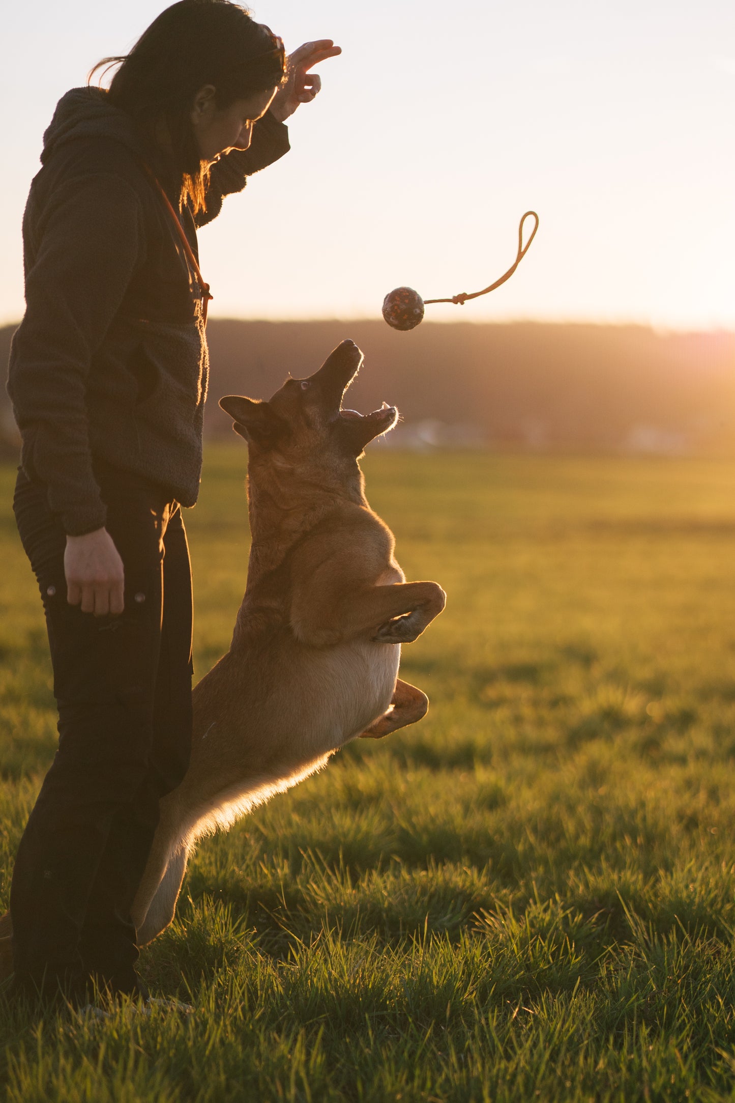Dog ball on rope 耐久性のあるロープ付きおもちゃ