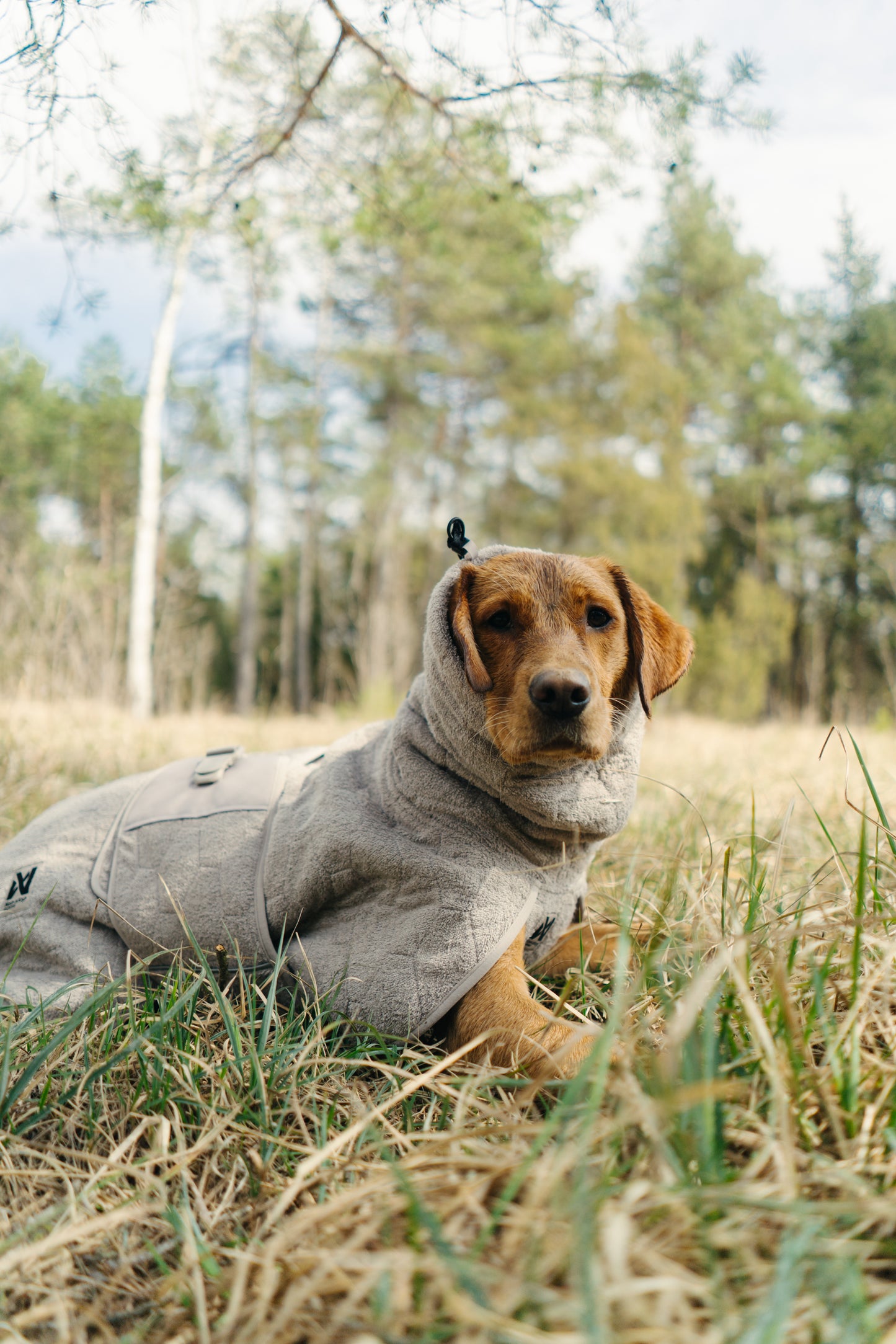Drying coat 犬用タオルバスローブ