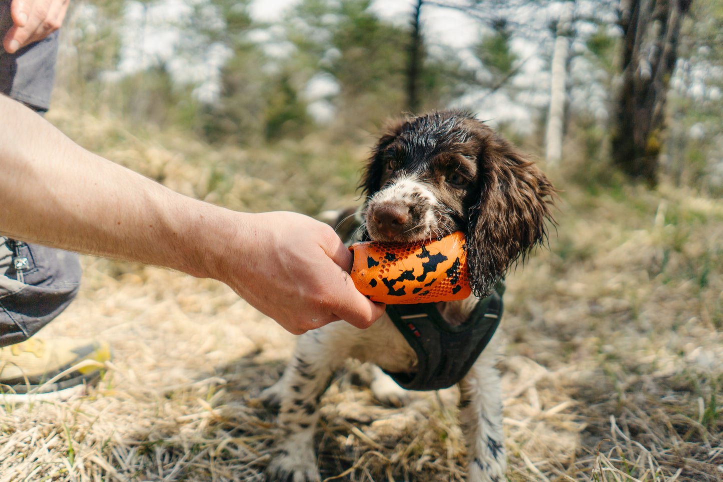 Dog throw toy 頑丈ノーズワーク犬用おもちゃ