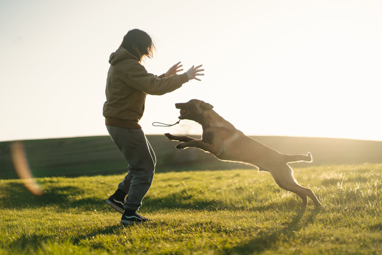 Dog ball on rope 耐久性のあるロープ付きおもちゃ