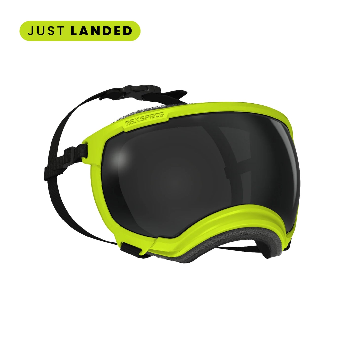 REX SPECS Goggles V2 紫外線対策 【即日配送】