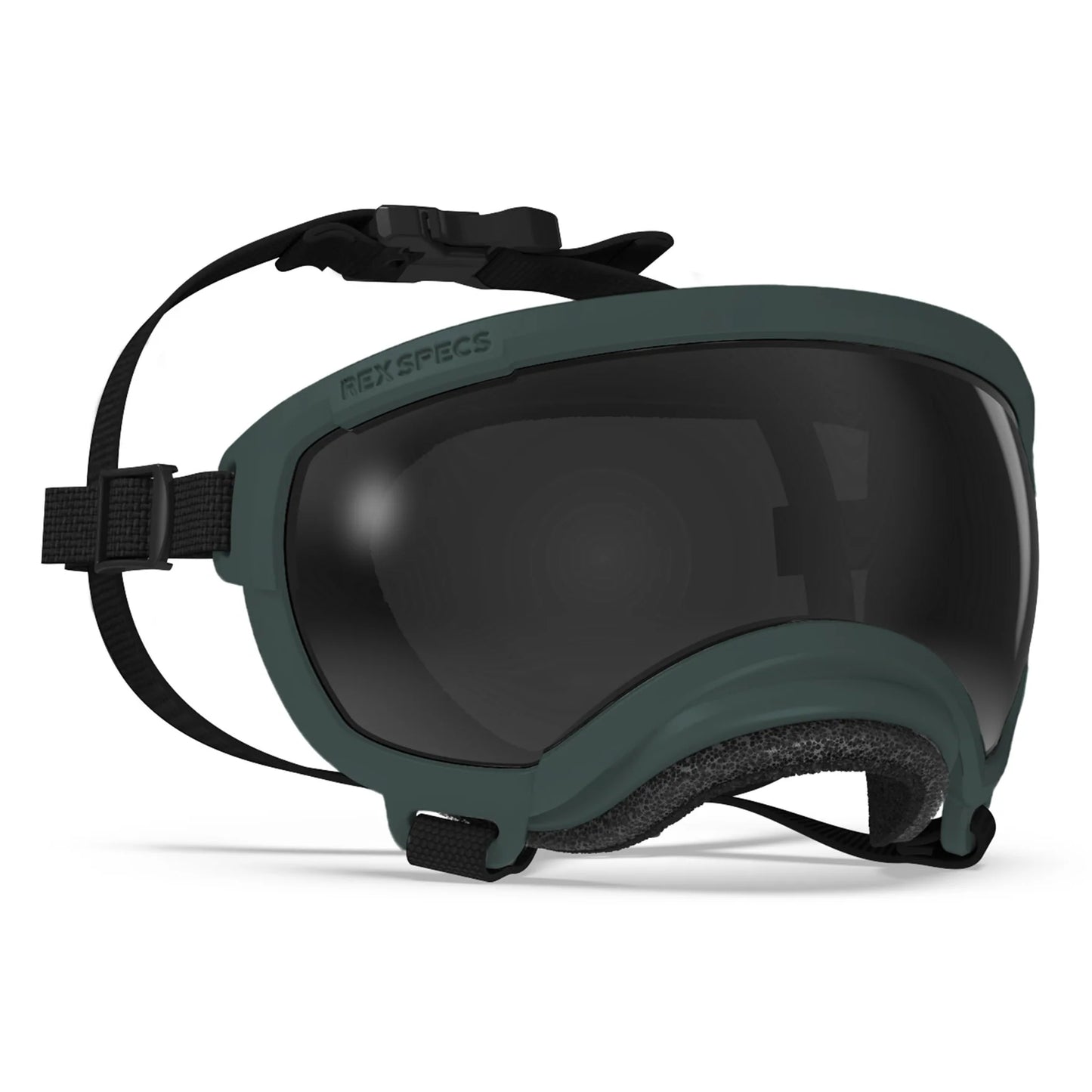 REX SPECS Goggles V2 夏の紫外線から犬の目を守るゴーグル 【即日配送】