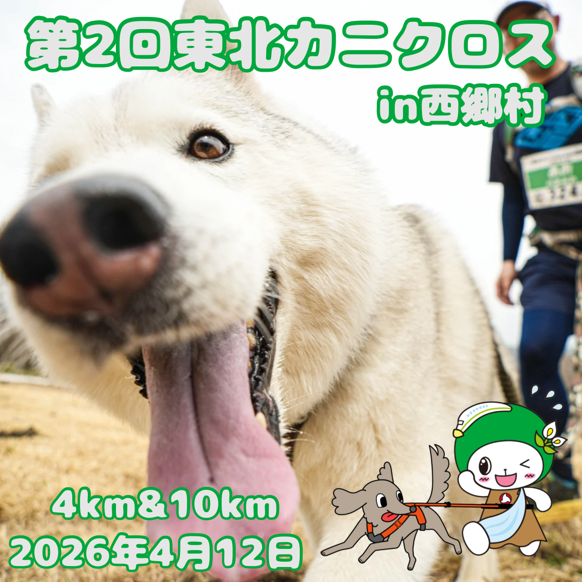第2回 東北カニクロス in 西郷村 4/12 – イヌと何でも楽しむ委員会 第2回 東北カニクロス in 西郷村 4/12 – イヌと何でも楽しむ委員会