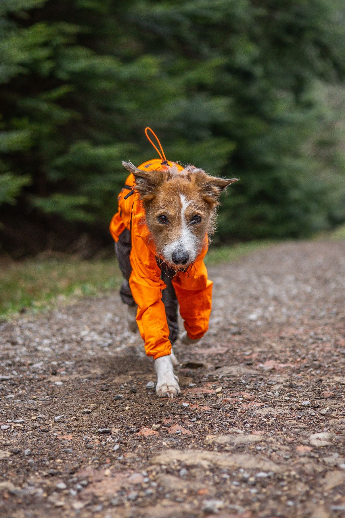 Fjord overall raincoat オーバーオール アクティブレイン
