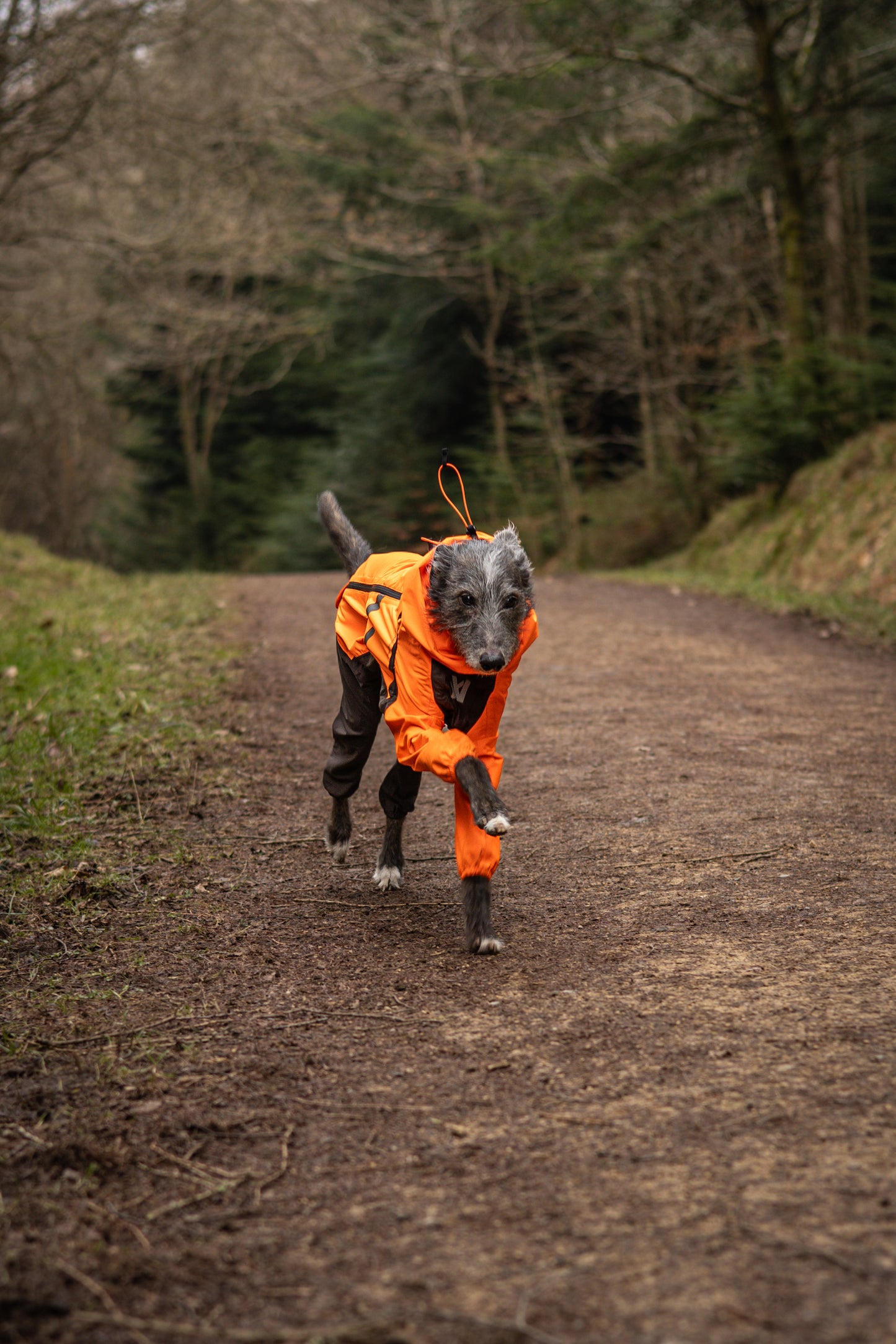 Fjord overall raincoat オーバーオール アクティブレイン