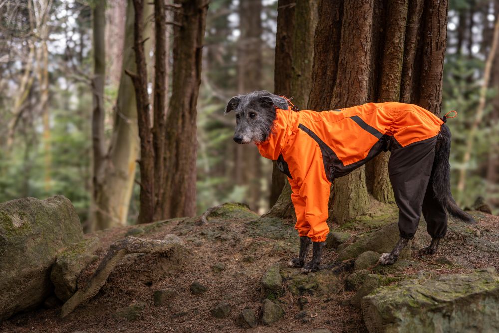 Fjord overall raincoat オーバーオール アクティブレイン