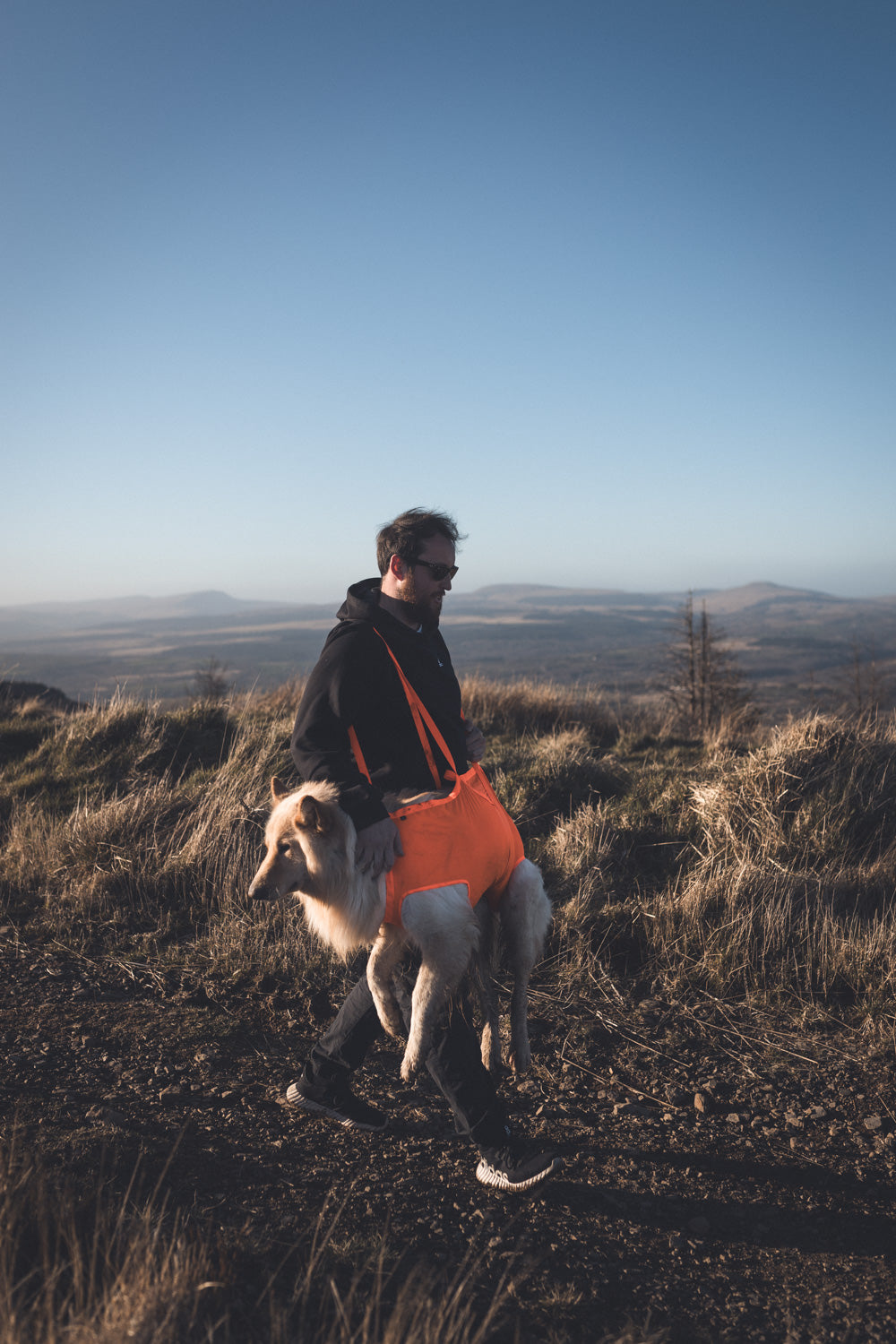 Dog rescue sling 犬を運ぶための携帯用スリング 登山災害時に