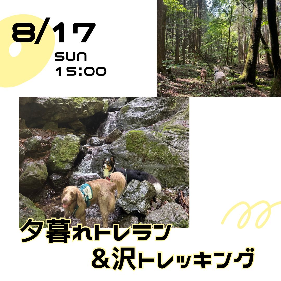 イヌと山&夕暮れトレラン沢トレッキング8/17(日)