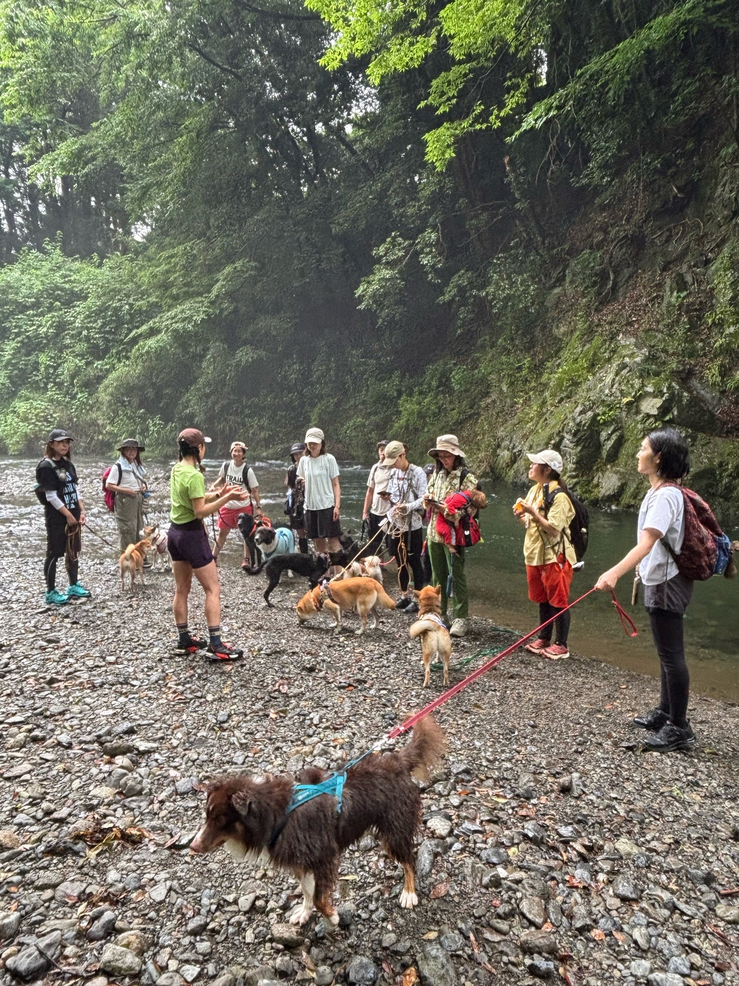 イヌと山&沢歩き7/22(火) 7/27(日)