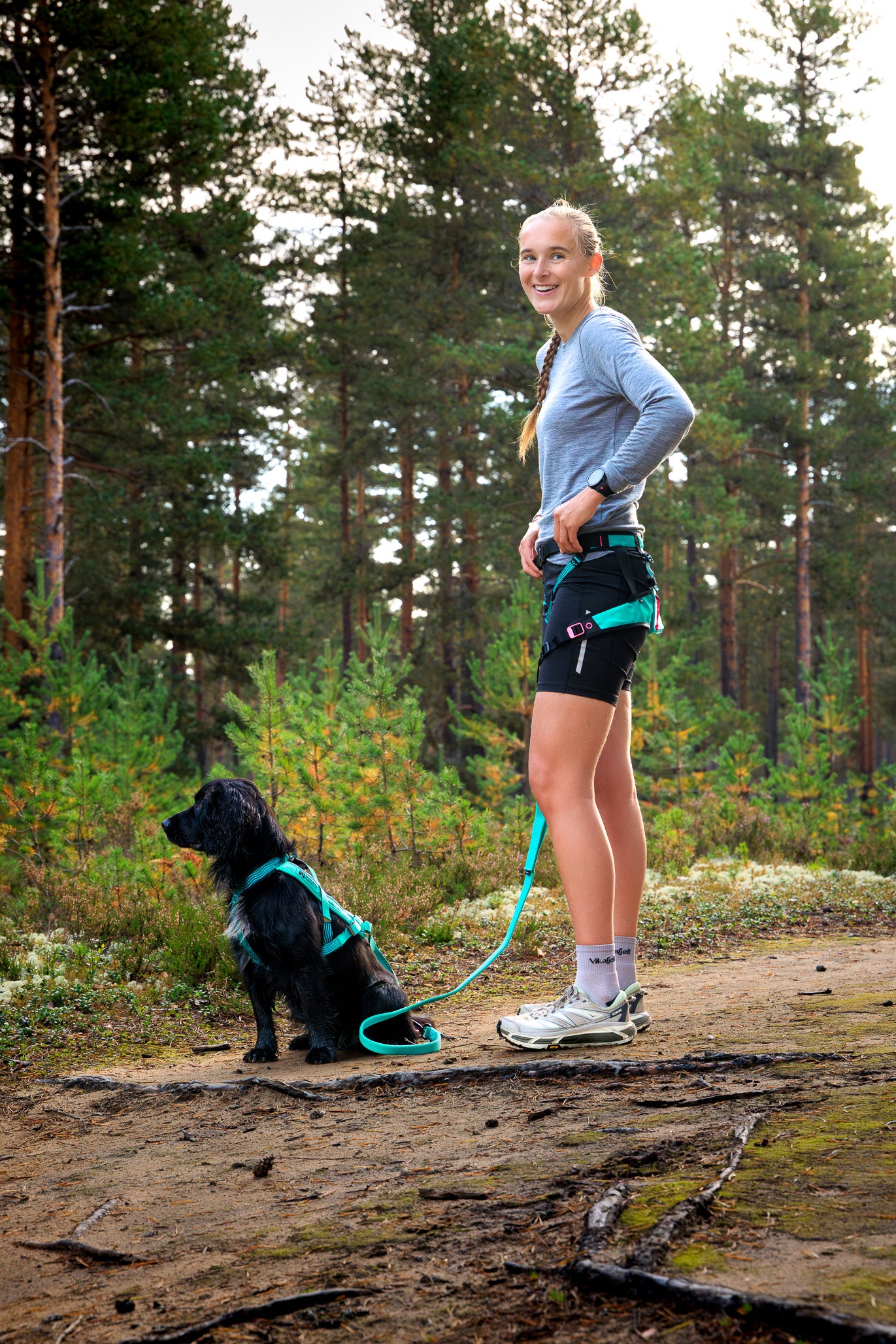 バイクジョアリングはじめてセット(BLUE)犬と自転車で走るための基本3点セット