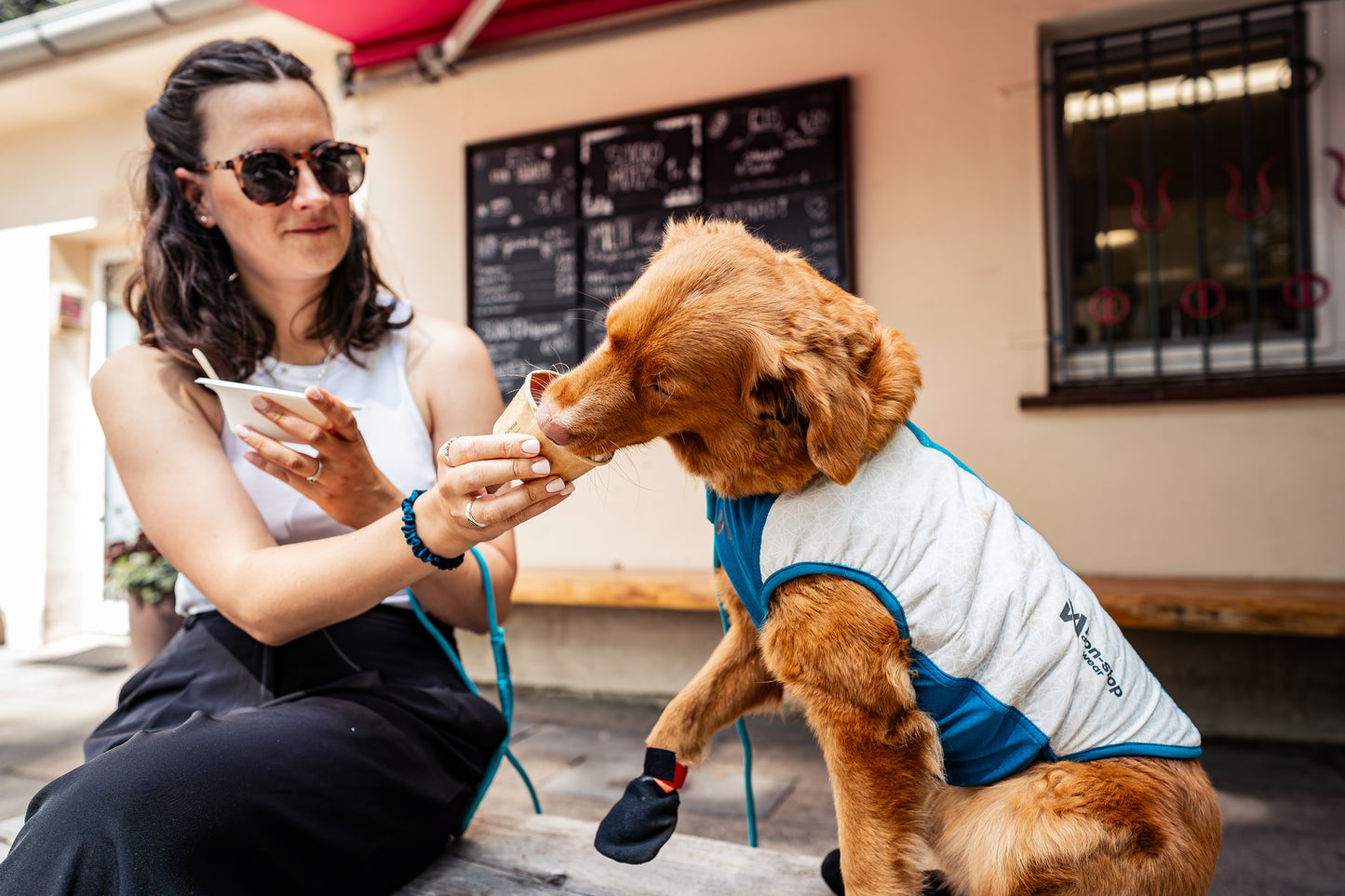 熱中症対策 犬用 冷却ベスト Cooling pull-on vest