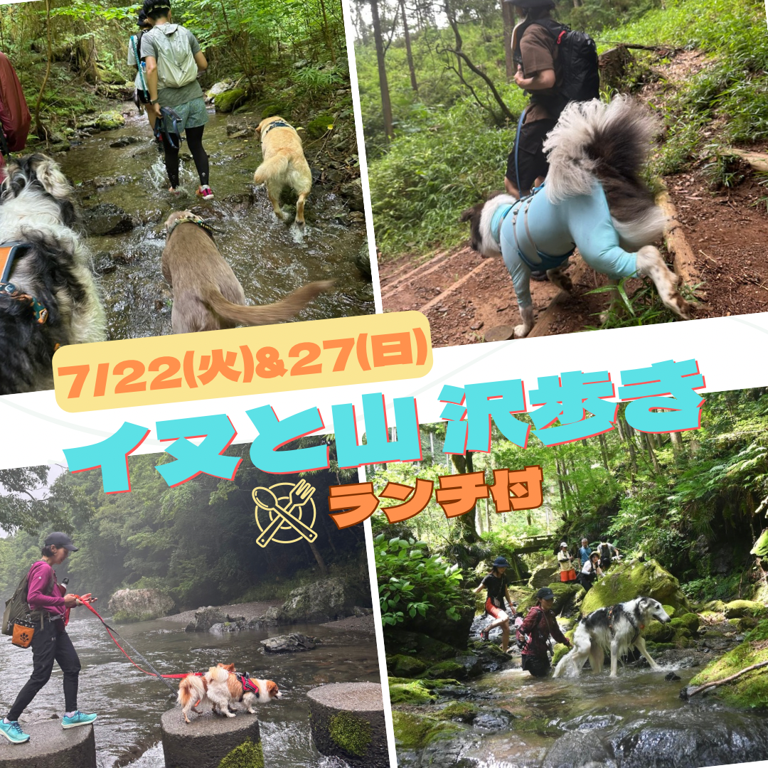 イヌと山&沢歩き7/22(火) 7/27(日)