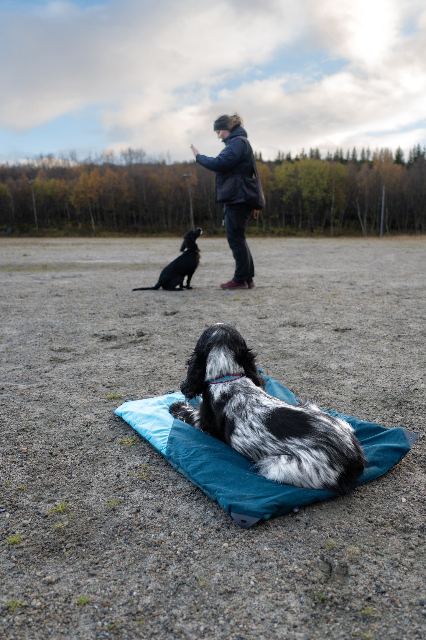 Trekking dog bed 犬用の軽量キャンピングマット