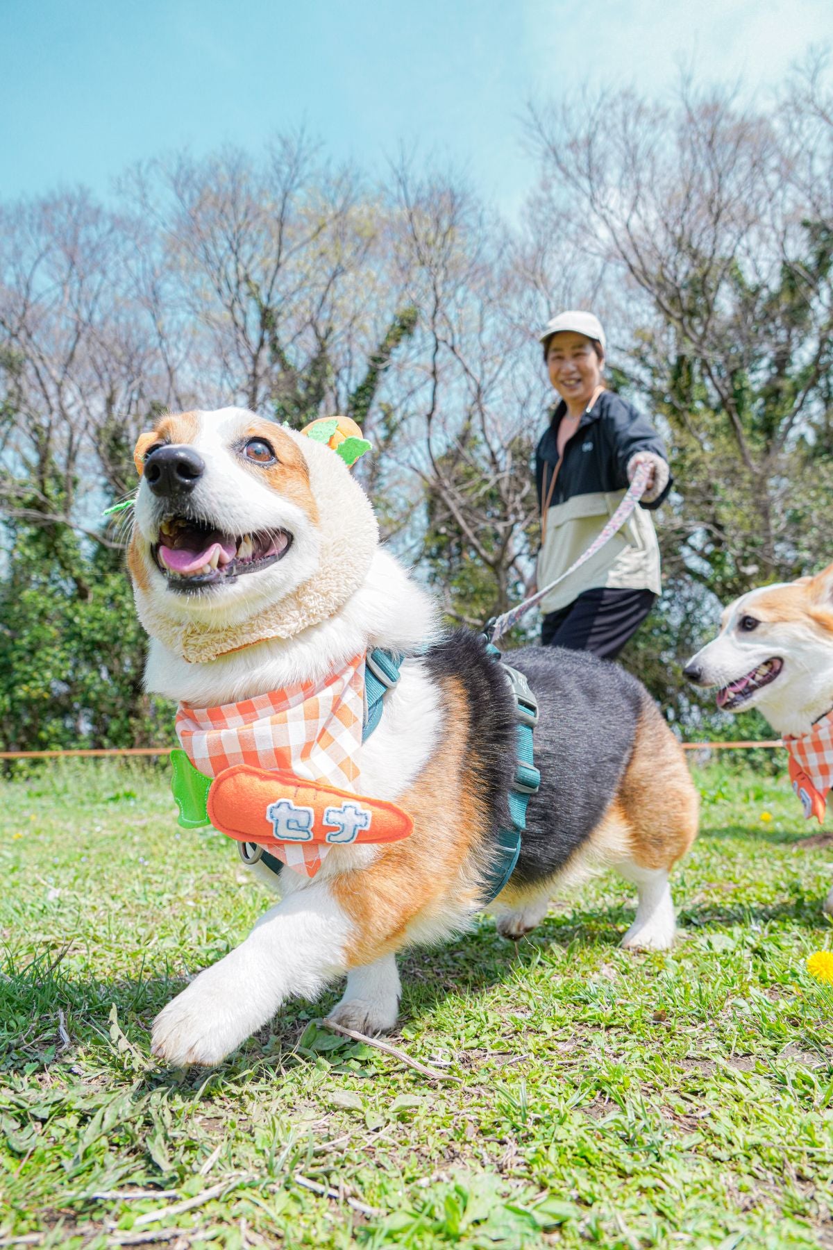 カニクロス体験会 in 楢葉町・天神岬スポーツ公園 11/29