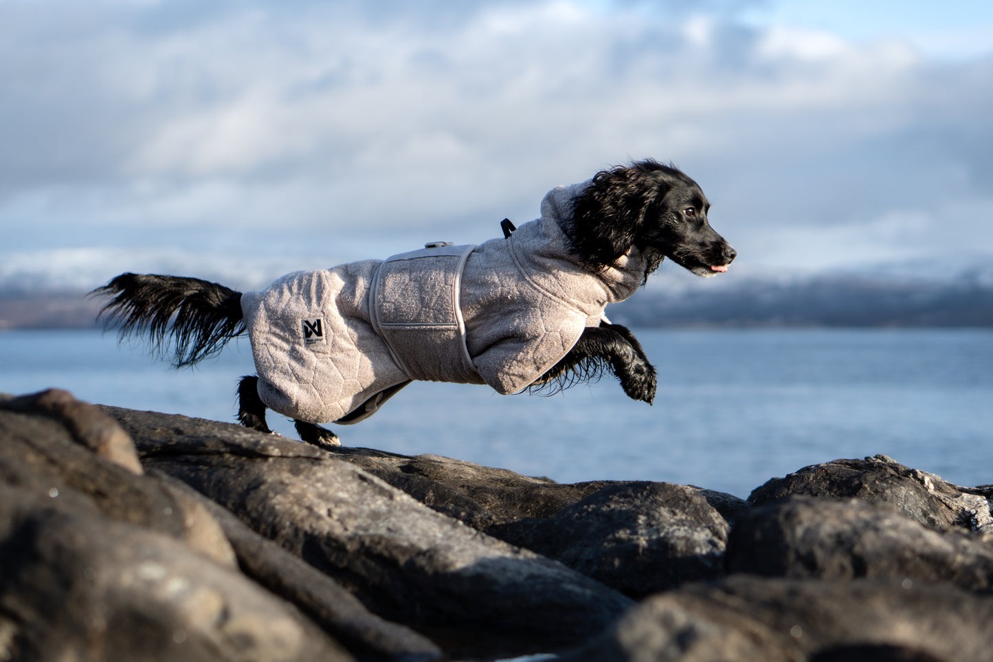Drying coat 犬用タオルバスローブ