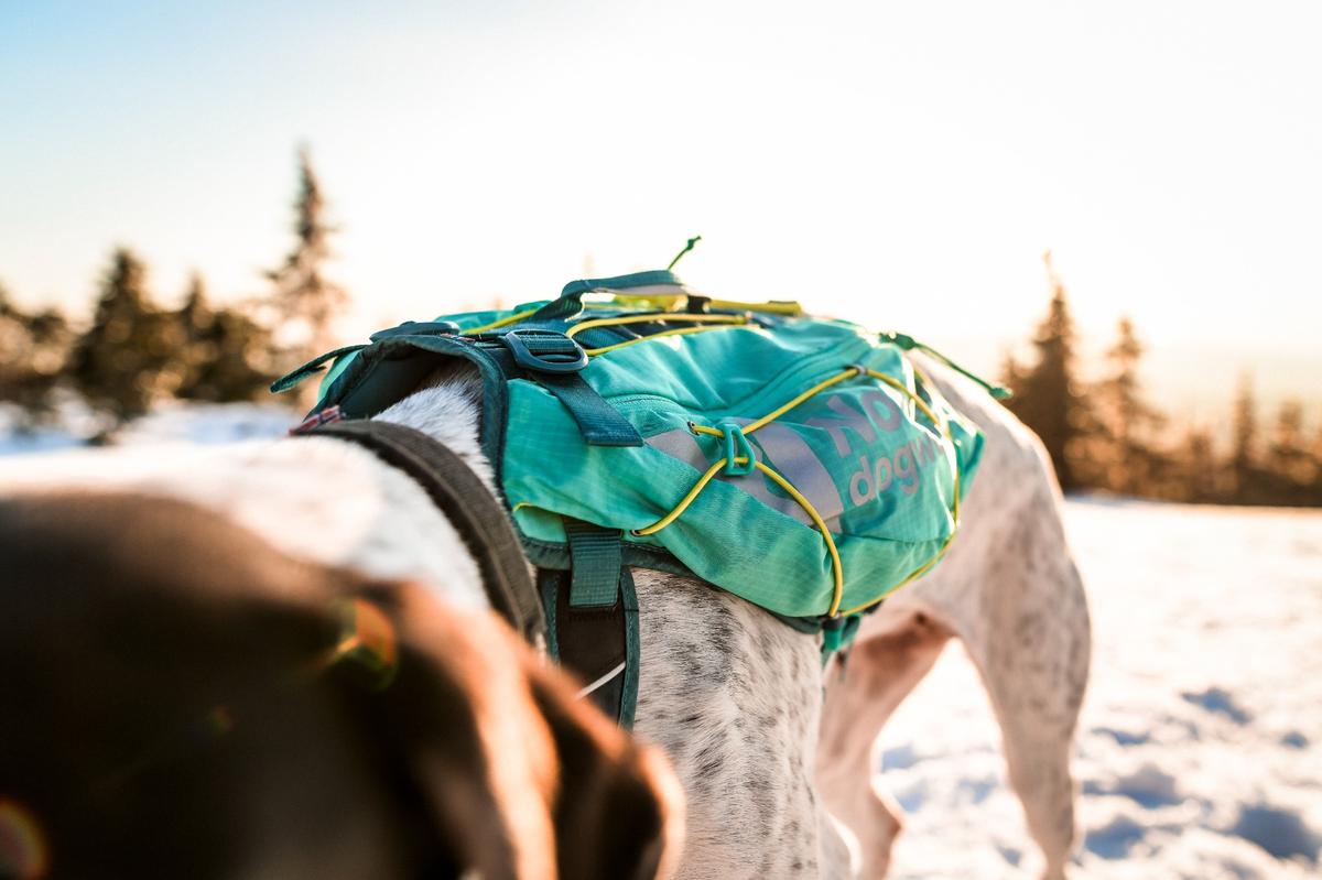 Trail light dog backpack 犬用登山リュック