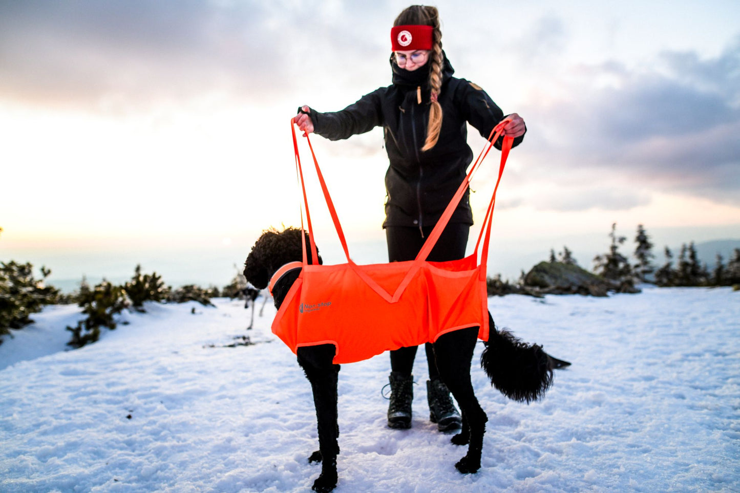 Dog rescue sling 犬を運ぶための携帯用スリング 登山災害時に