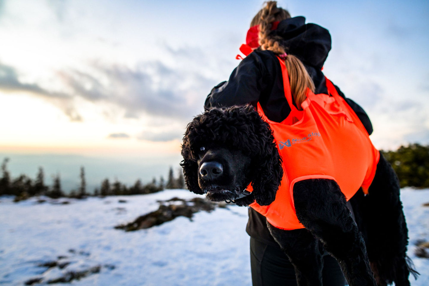 Dog rescue sling 犬を運ぶための携帯用スリング 登山災害時に
