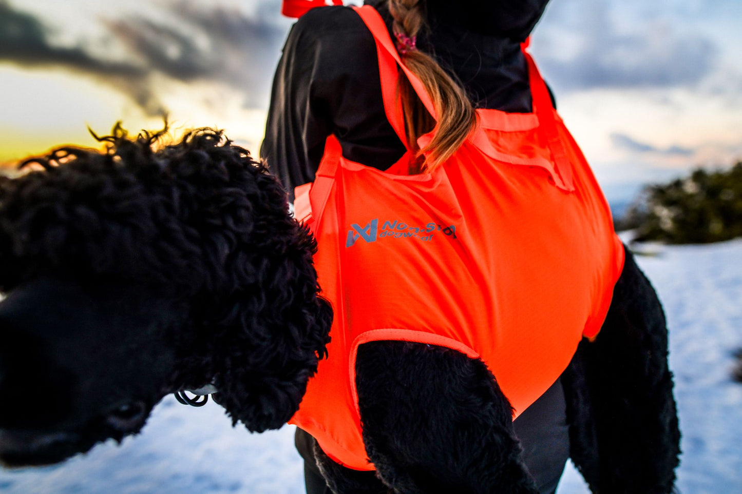Dog rescue sling 犬を運ぶための携帯用スリング 登山災害時に