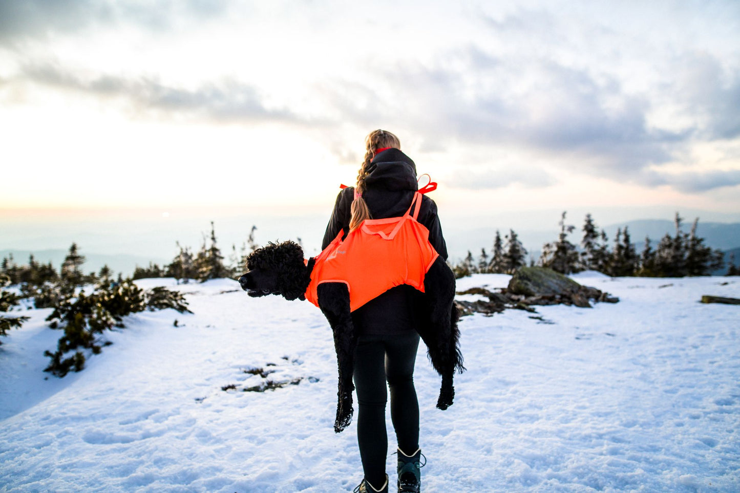 Dog rescue sling 犬を運ぶための携帯用スリング 登山災害時に