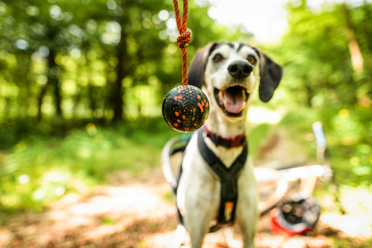 Dog ball on rope 耐久性のあるロープ付きおもちゃ