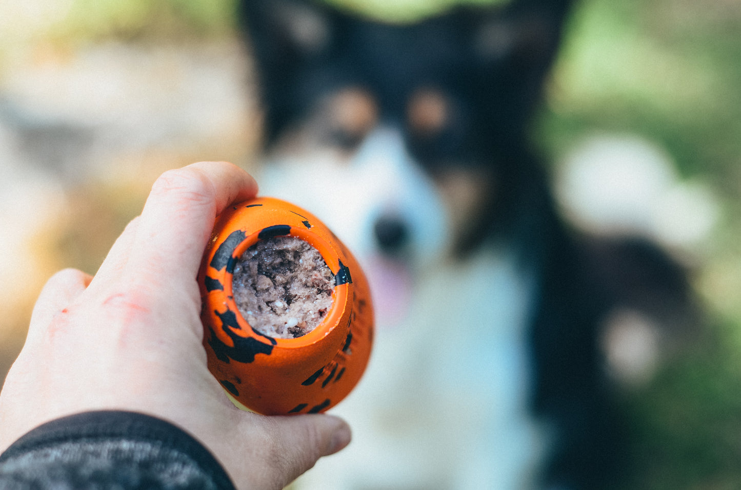 Dog throw toy 頑丈ノーズワーク犬用おもちゃ