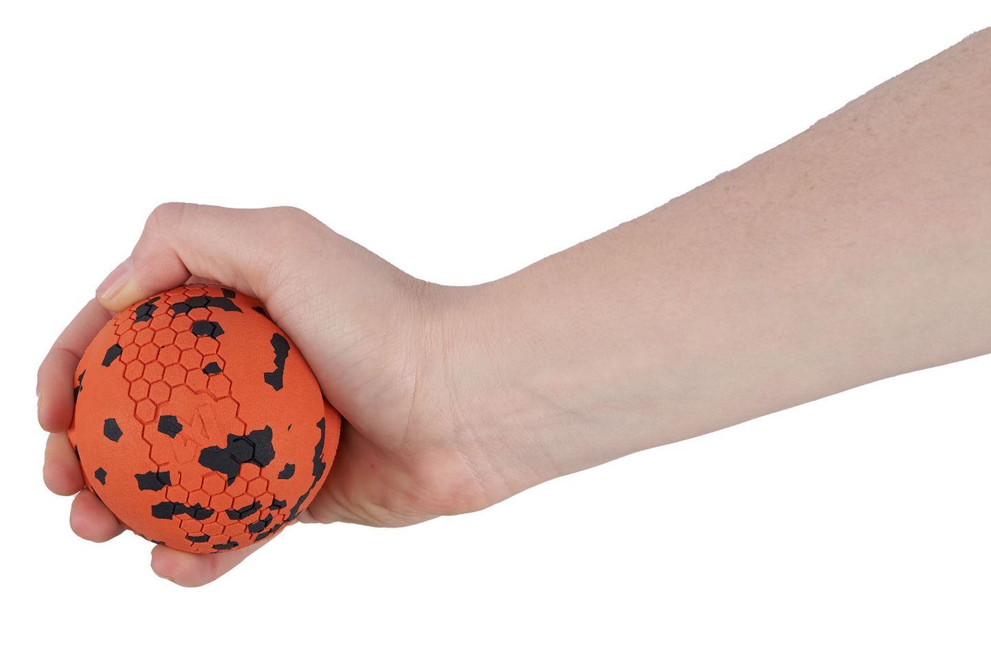 Dog ball ドッグボール