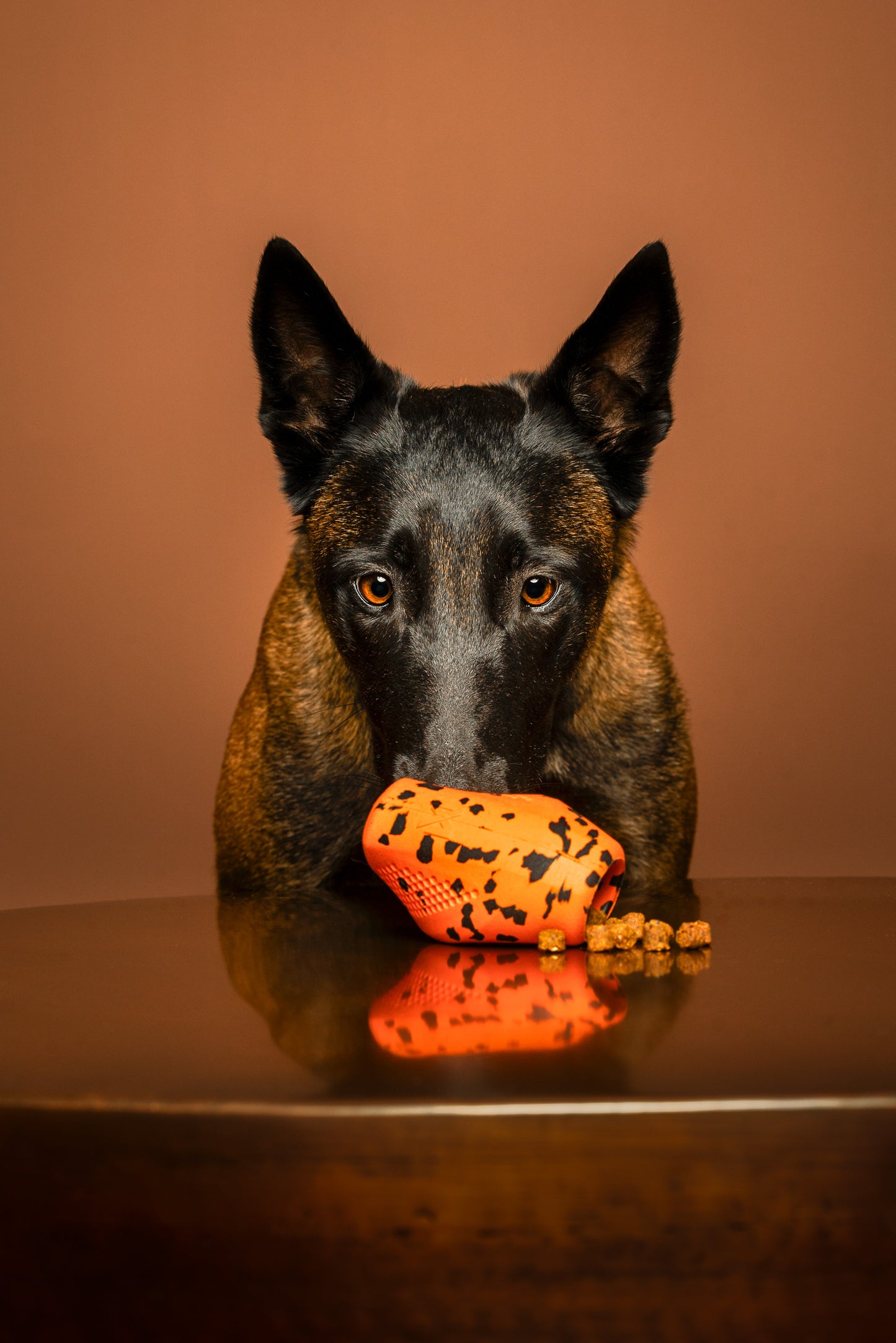 Dog throw toy 頑丈ノーズワーク犬用おもちゃ