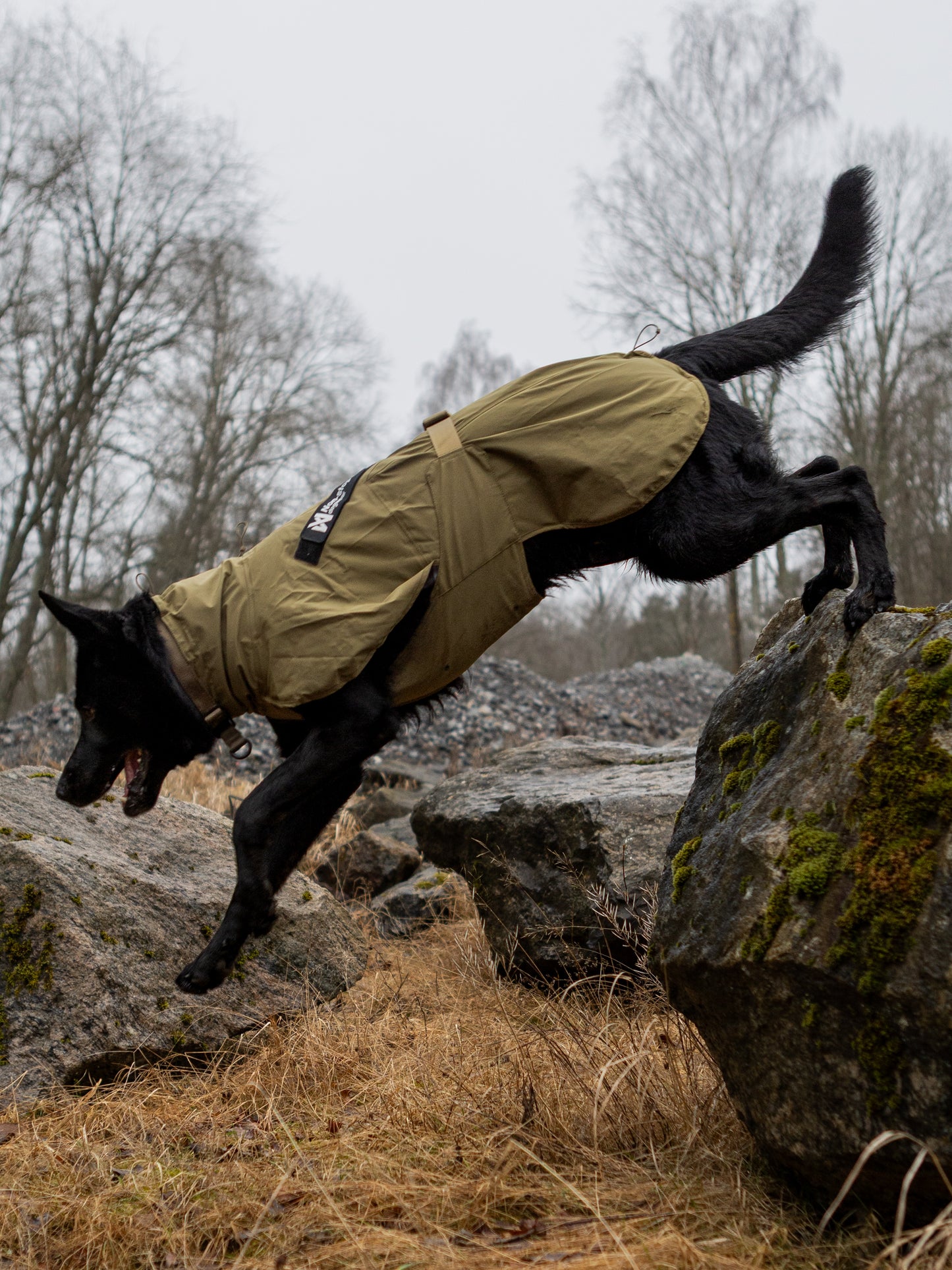 Fjord raincoat WD 作業犬用のレインコート