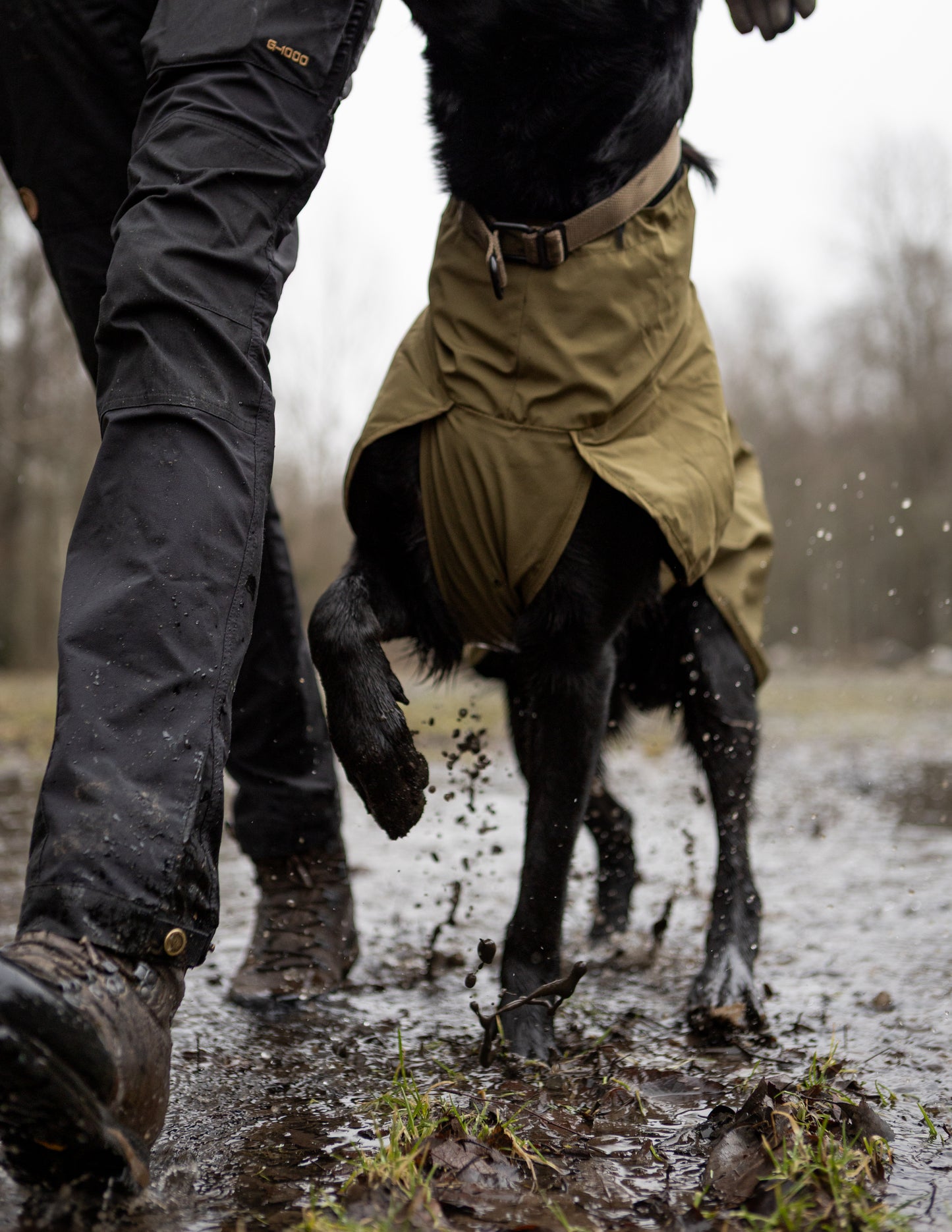 Fjord raincoat WD 作業犬用のレインコート