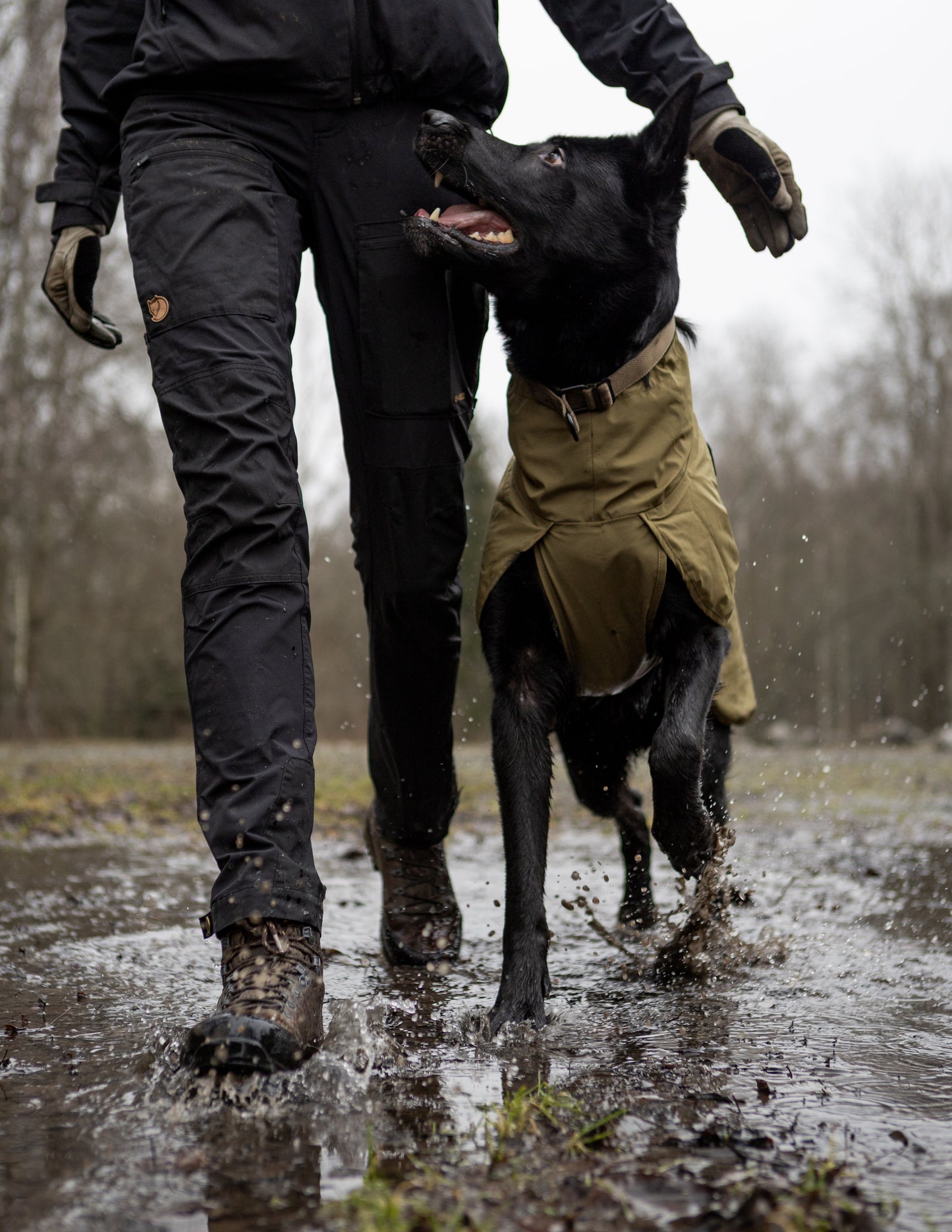 Fjord raincoat WD 作業犬用のレインコート