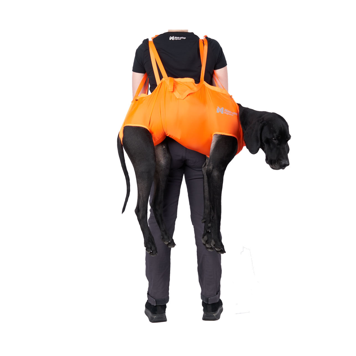 Dog rescue sling 犬を運ぶための携帯用スリング 登山災害時に