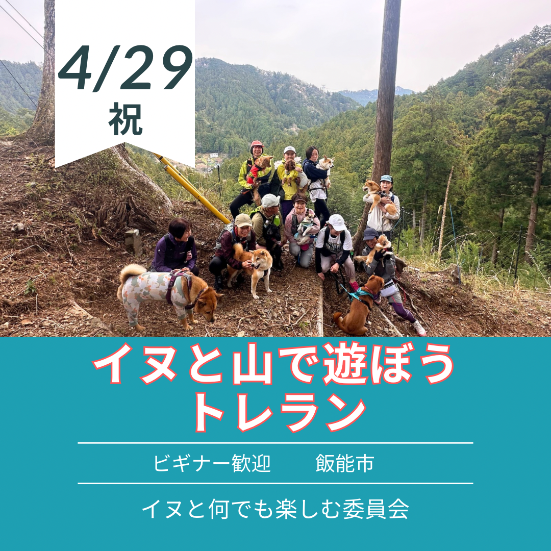 イヌと山で遊ぼうトレラン 4/29