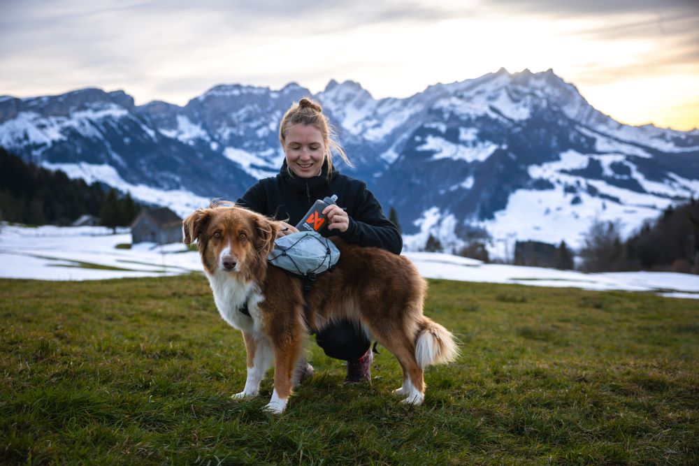 Trail light dog backpack 犬用登山リュック 2COLOR