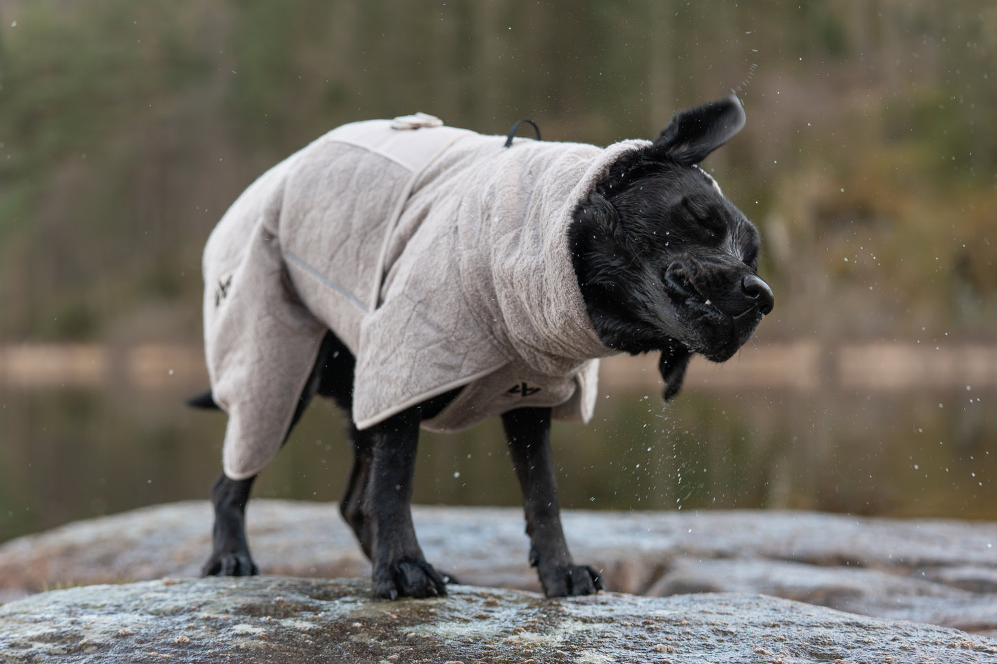 Drying coat 犬用タオルバスローブ