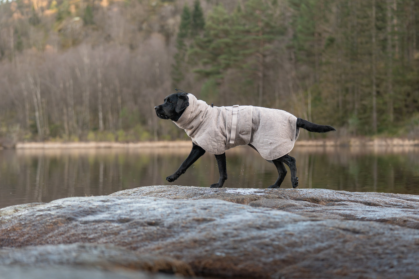 Drying coat 犬用タオルバスローブ