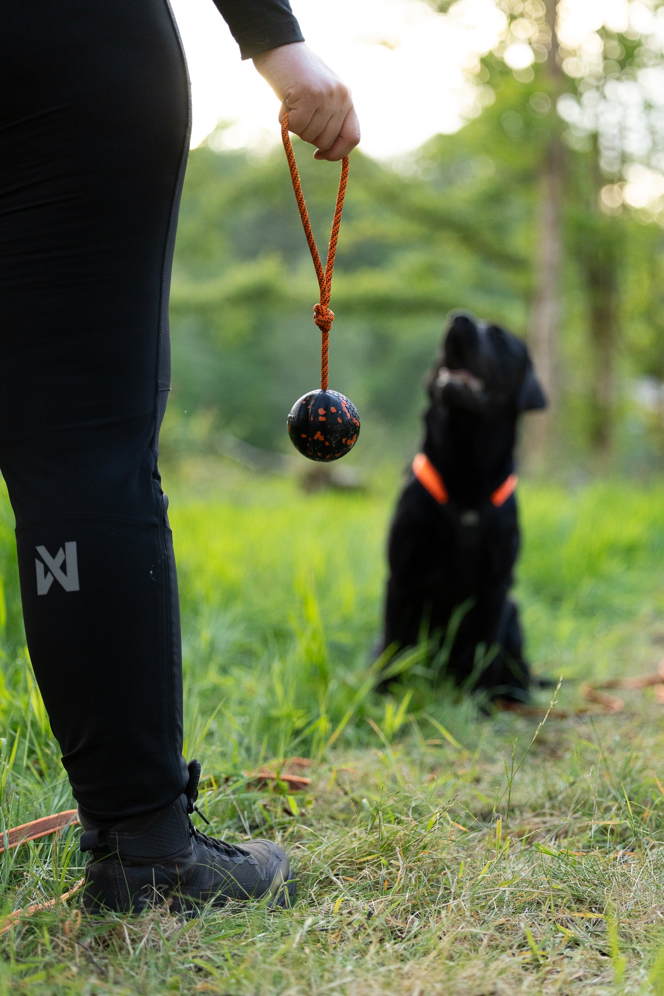 Dog ball on rope 耐久性のあるロープ付きおもちゃ