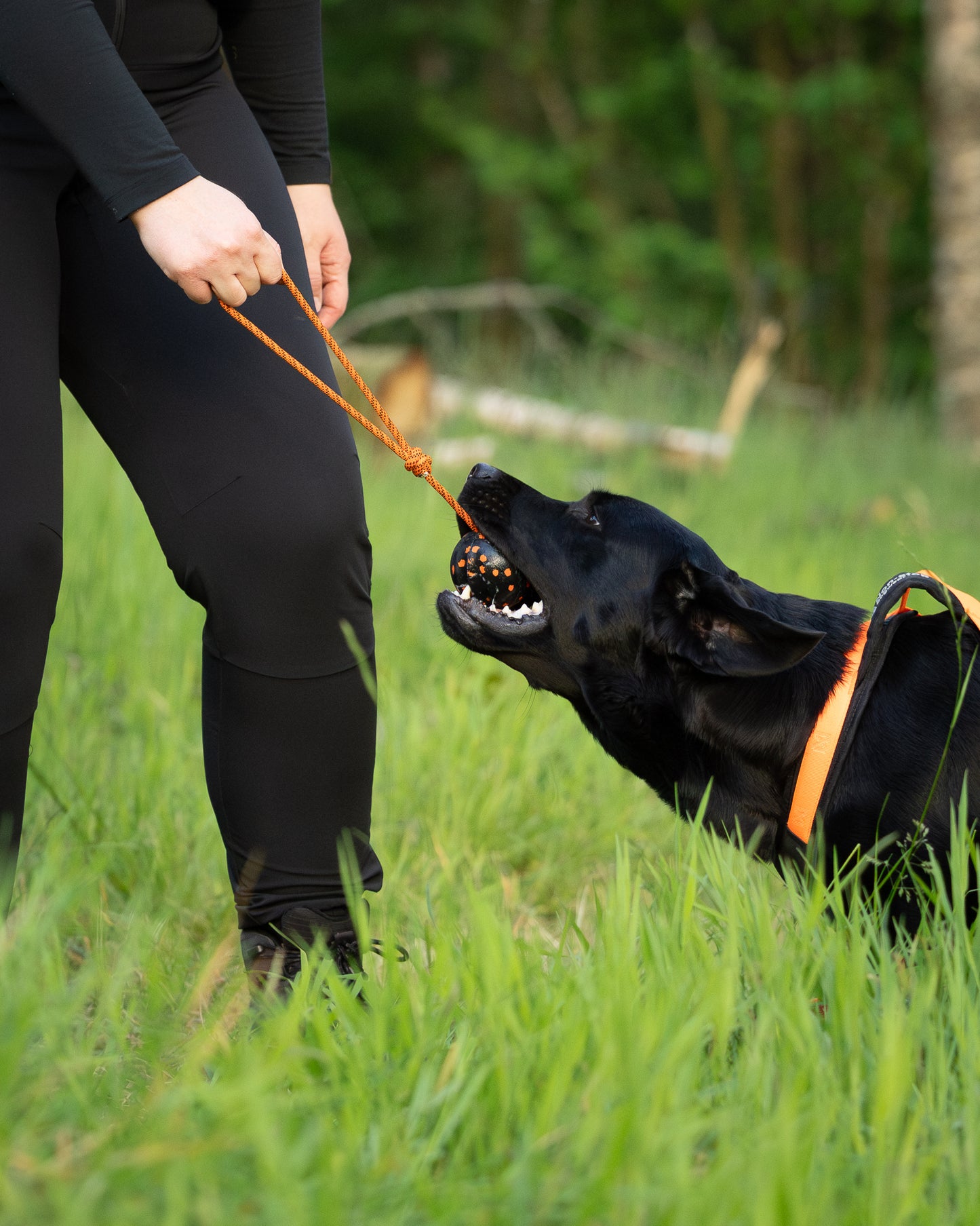 Dog ball on rope 耐久性のあるロープ付きおもちゃ