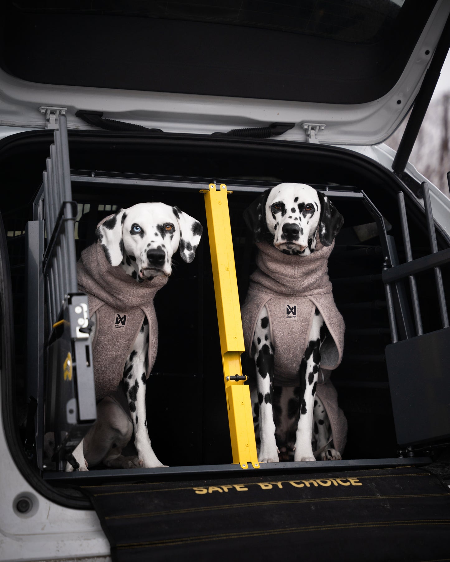 Drying coat 犬用タオルバスローブ