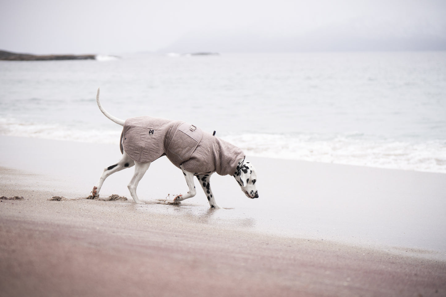 Drying coat 犬用タオルバスローブ