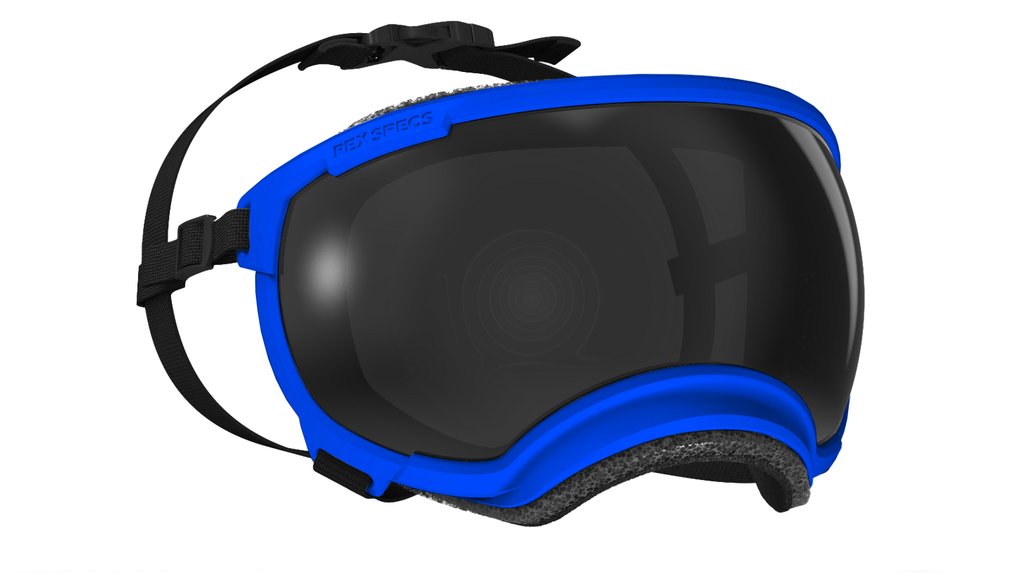 REX SPECS Goggles V2 紫外線対策 【即日配送】