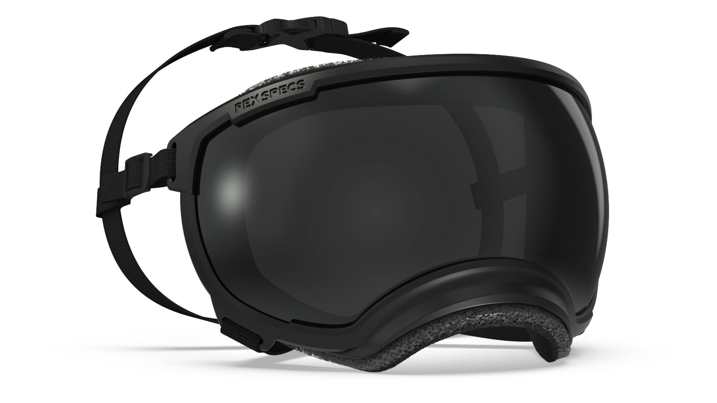 REX SPECS Goggles V2 紫外線対策 【即日配送】