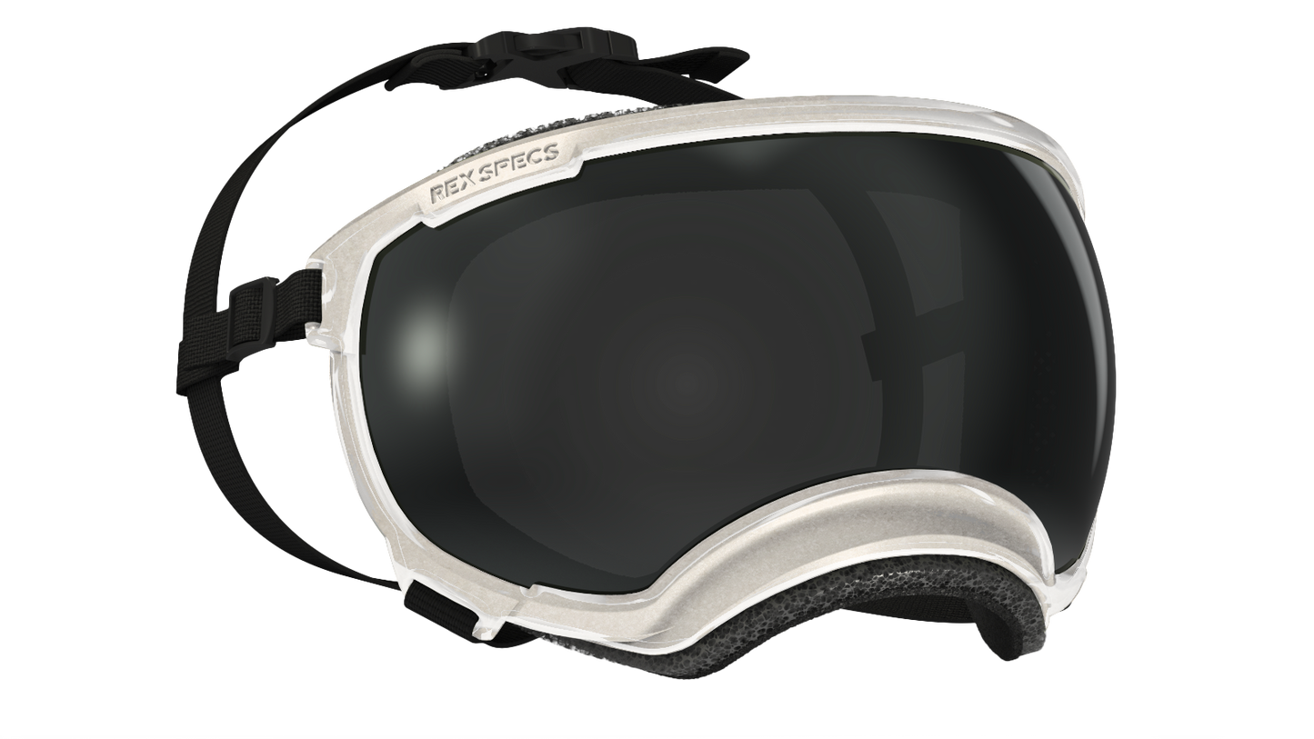 REX SPECS Goggles V2 紫外線対策 【即日配送】