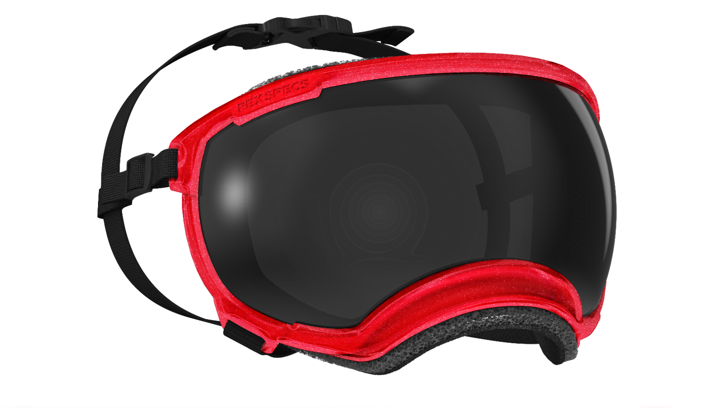 REX SPECS Goggles V2 紫外線対策 【即日配送】
