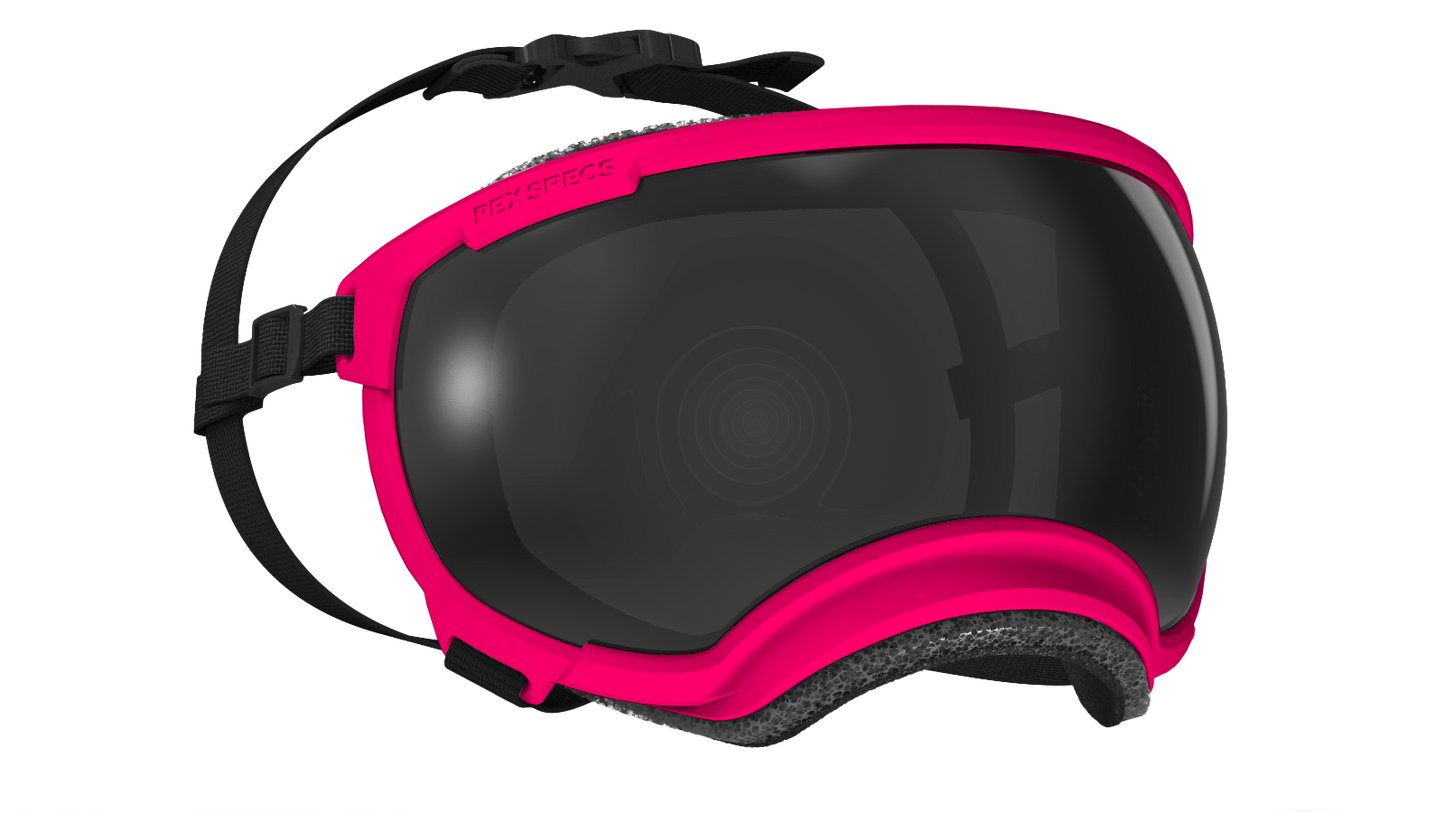 REX SPECS Goggles V2 紫外線対策 【即日配送】