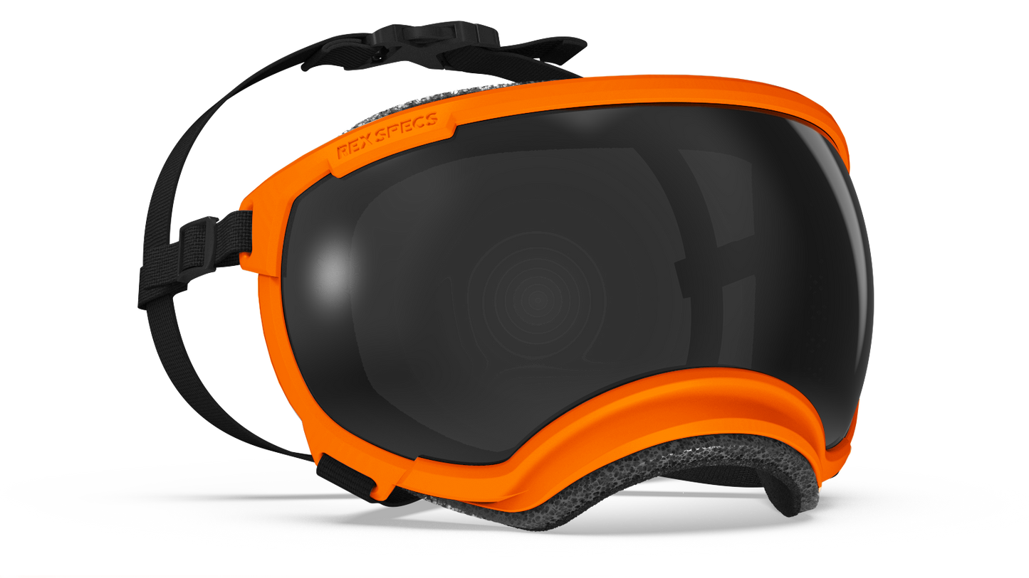 REX SPECS Goggles V2 紫外線対策 【即日配送】