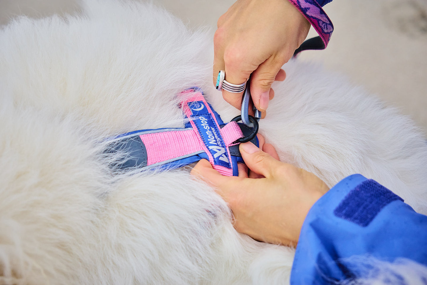 Line harness 5.0 Rachel Pohl edition 限定コラボ商品!カニクロスにおすすめ